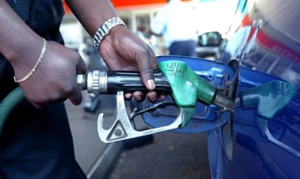 “How Long Will You Contract Them”- Nigerians Challenge as Lawmaker Contracts 15 Filling Stations to Sell Petrol at N430/ltr in Borno