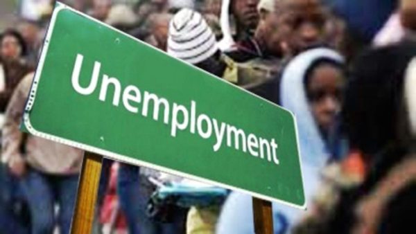 Interview: Addressing Unemployment in the Country: Causes, Way Forward
