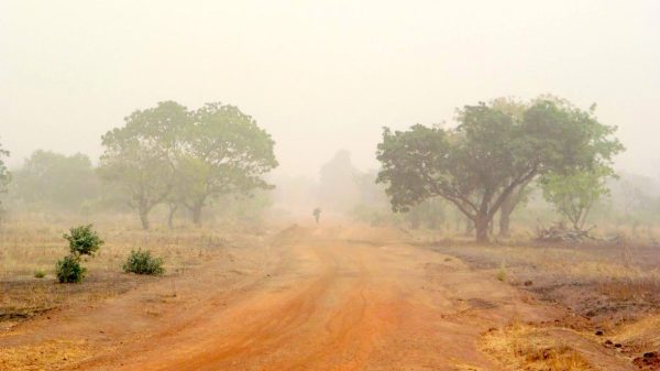 Health and Safety During Harmattan: Precautions to Follow