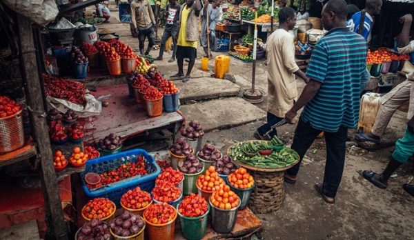 Experts, Citizens React to UN’s Dire Food Security Warning for Nigeria