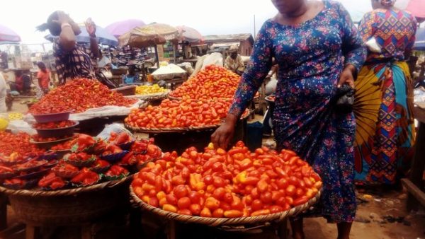 How Danfodites Struggle with Rising Pepper Costs
