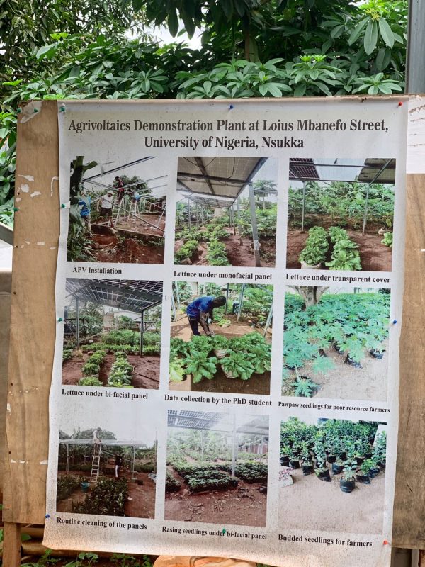 Afro Green Ventures: Prof. Michael Uguru’s Mission to Turn Farming into Economic Powerhouse